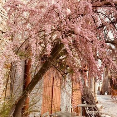 Gite Brin De Nature Au Coeur De La Nature Bugiste อัมเบรู-ออง-บูเจย์ ภายนอก รูปภาพ